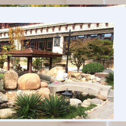 上海VI設計公司作品案例展示