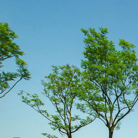 深圳vi設(shè)計(jì)公司作品案例展示