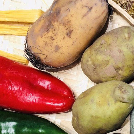 深圳vi設計公司作品案例展示