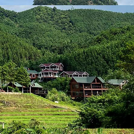 上海VI設(shè)計(jì)公司作品案例展示