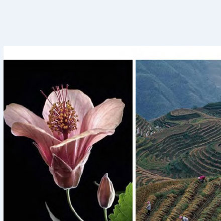 vi設(shè)計(jì)模板大全圖片素材下載