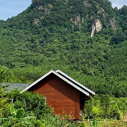 深圳vi設(shè)計(jì)作品案例展示